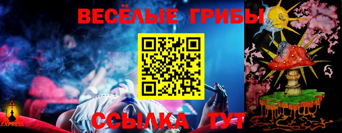 Псилоцибиновые грибы Psilocybe Саратов