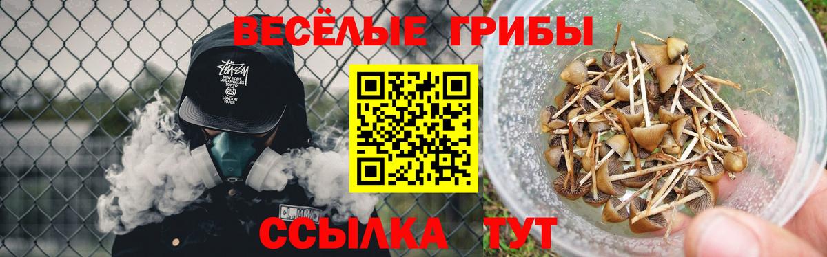 Саратов  Псилоцибиновые грибы Psilocybe  как найти закладки  Псилоцибиновые грибы Magic Shrooms  Вход с VPN 